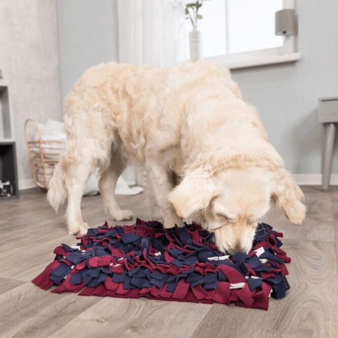 Trixie Schnüffelteppich Strategie-Spiel mit Hund 2