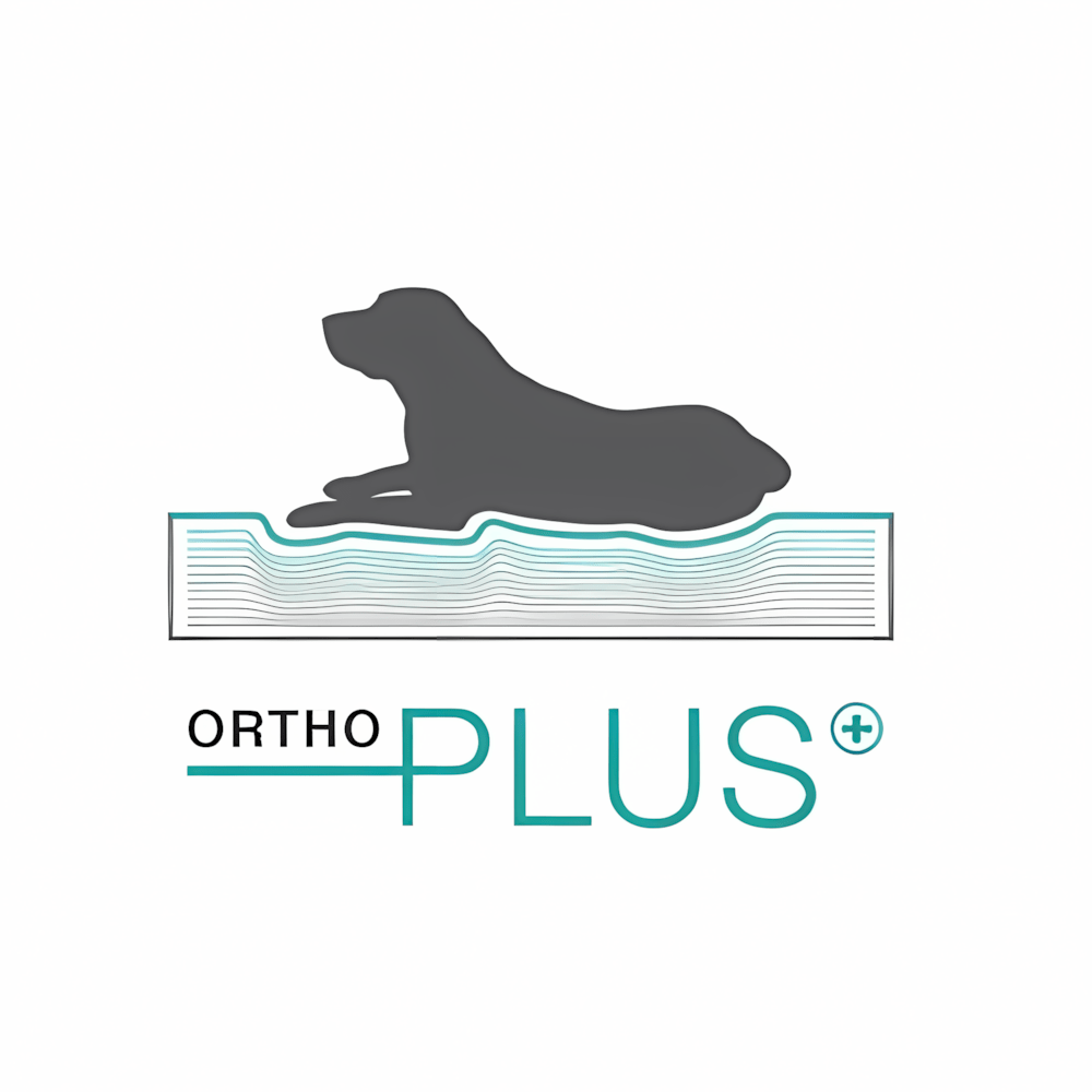 Ortho Plus