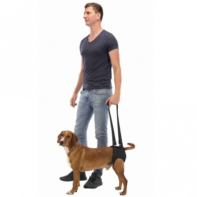 Trixie Gehhilfe mit Hund