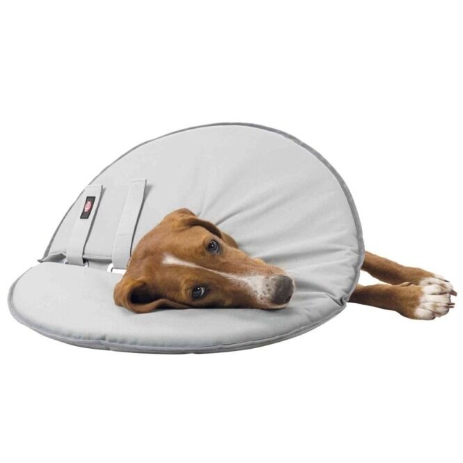 Trixie Schutzkragen Hund liegend