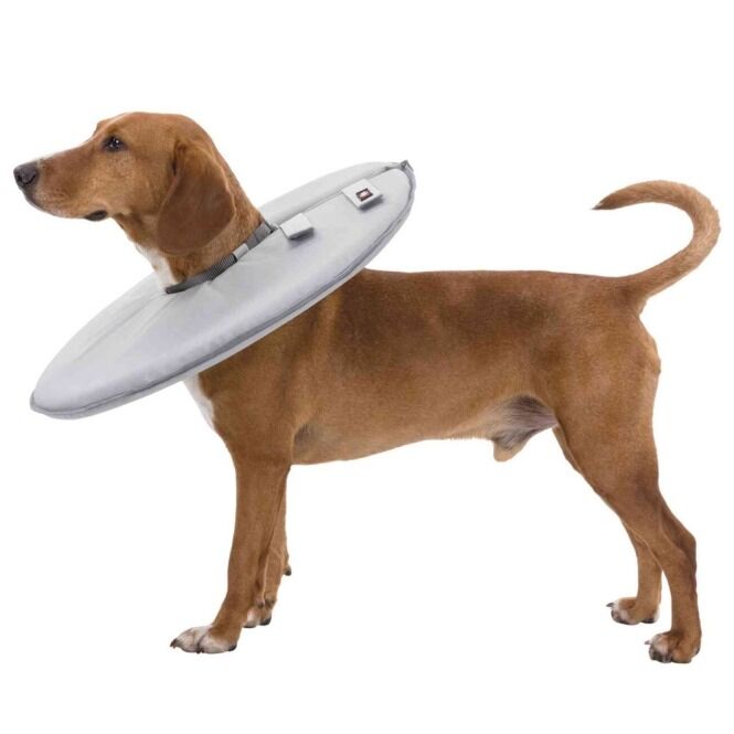 Trixie Schutzkragen mit Hund Seitenansicht