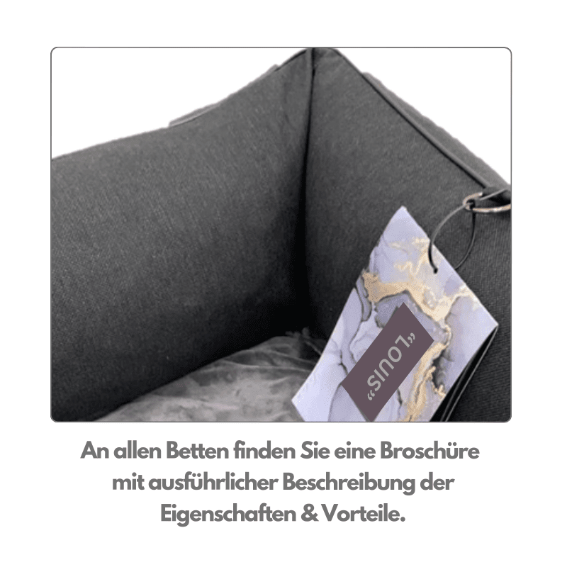 Broschüre Lebon Louis Plus