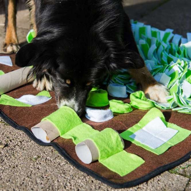 PROCYON Intelligenzschnüffelmatte mit Hund
