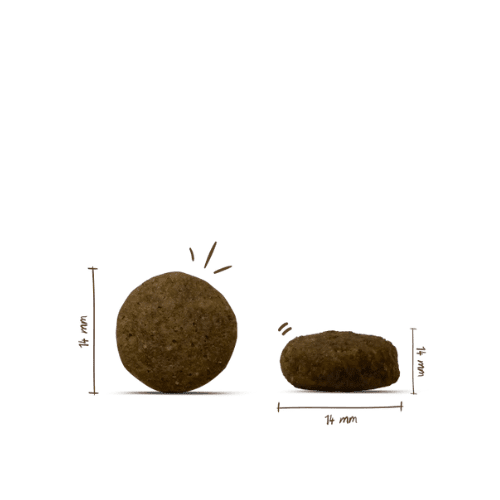 bosch Junior Lamm & Reis Krokettengröße